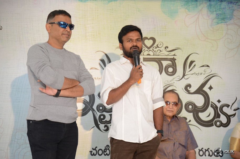 Aina-Ishtam-Nuvvu-Movie-First-Look-Launch